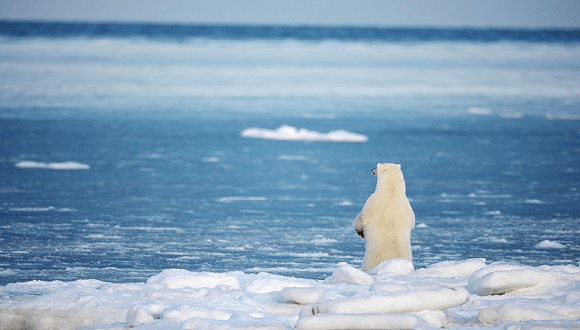 未來50年能源系統(tǒng)格局將大變，江蘇江河順應時局，生態(tài)發(fā)展！